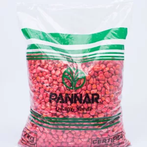 PANNAR PAN53 HYBRID MAIZE SEEDS 5K 2KG